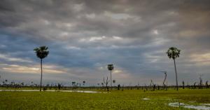 Madhya Pradesh Weather Alert: Heavy Rain, Thunderstorms & Hail Expected Till May 8, Temperature Drops Across State