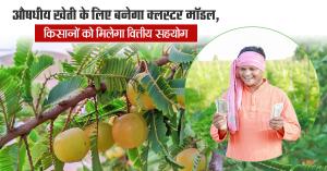 Cluster Model to Boost Medicinal Plant Farming; Farmers to Receive Financial Support