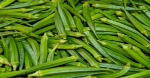 Latest Bhindi Prices Today in Haryana and Punjab (May 9, 2025)