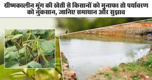 Summer Moong Farming Boosts Farmers’ Income, but Harms Environment — Know the Challenges and Solutions