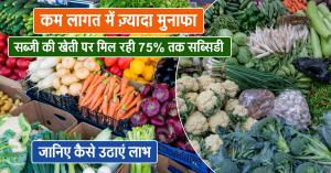 High Profit at Low Cost: Bihar Farmers to Get Up to 75% Subsidy on Vegetable Farming – Know How to Apply
