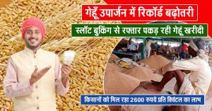 wheat procurement: गेहूँ उपार्जन में रिकॉर्ड बढ़ोतरी: स्लॉट बुकिंग से रफ्तार पकड़ रही गेहूं खरीदी, किसानों को मिल रहा 2600 रुपये प्रति क्विंटल का लाभ