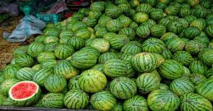 Fresh Watermelon mandi rate today in Uttar Pradesh and Rajasthan (May 14, 2025)