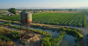 Rapid Pace of Development in Vindhya Region: New Boost for Irrigation, Enterprises, and Tribal Welfare