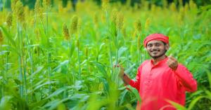 मध्यप्रदेश में श्रीअन्न और प्राकृतिक खेती को बढ़ावा: किसानों को मिलेगी सीधी खरीदी, तकनीकी सहायता और नई मंडियां