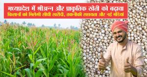 Madhya Pradesh to promote millets and natural farming: farmers to get direct procurement, technical support, and new market yards