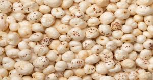Global Spotlight on Bihar Makhana and Spices: Buyer-Seller Meet Highlights Investment and Export Commitments