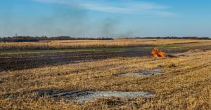 Avoid burning stubble, make organic fertilizer from super seeder and save the environment