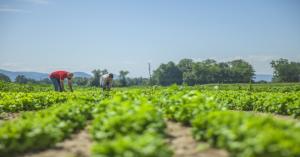 Six-Point Strategy for Agricultural Development; a Synergy of Science and Tradition in Farming