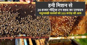 हनी मिशन से 20 हजार मीट्रिक टन शहद का उत्पादन, मधुमक्खी पालकों को 325 करोड़ की आय