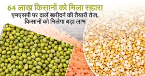Support for 6.4 Million Farmers: Government Accelerates MSP Procurement of Pulses, Farmers to Benefit