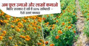 Marigold Farming: अब फूल उगाओ और लाखों कमाओ, बिहार सरकार दे रही है 50% सब्सिडी – ऐसे उठाएं फायदा