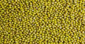 Moong Dal Prices on June 3, 2025 – Which Mandis Are Offering Rates Above MSP?