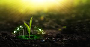 Boost Yields and Cut Costs with Alternative Fertilizers, Says Agriculture Department