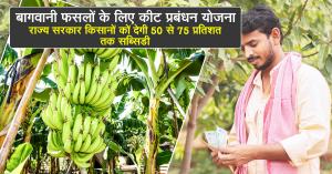 बागवानी फसलों के लिए कीट प्रबंधन योजना: राज्य सरकार किसानों कों देगी 50 से 75 प्रतिशत तक सब्सिडी