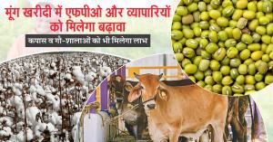 मूंग खरीदी में एफपीओ और व्यापारियों को मिलेगा बढ़ावा, कपास व गौ-शालाओं को भी मिलेगा लाभ