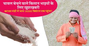 Rice Mandi Bhav : 15 जून 2025: चावल बेचने वाले किसान भाइयों के लिए खुशखबरी – करजत मंडी में भाव ₹6000 क्विंटल तक पहुंचा!