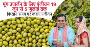 मूंग उपार्जन के लिए पंजीयन 19 जून से 5 जुलाई तक, किसान समय पर कराएं पंजीयन