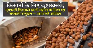 किसानों के लिए खुशखबरी, मूंगफली छिलकने वाली मशीन पर मिल रहा सरकारी अनुदान – अभी करें आवेदन