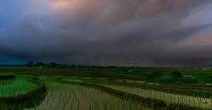 Monsoon Picks Pace in UP, District-Wise Rain and Weather Outlook for the Week
