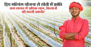 Drip mulching scheme: ड्रिप मल्चिंग योजना से खेती में क्रांति, कम लागत में अधिक लाभ, किसानों की बदली तकदीर