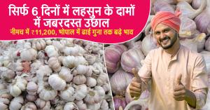 June 26, 2025: Massive Garlic Price Surge in Just 6 Days – Neemuch Hits ₹11,200, Bhopal Prices Soar 2.5x
