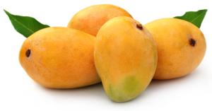 Mango Mandi Bhav Today: Prices Break Records – Jaipur Records Season’s Highest at ₹8000/Quintal
