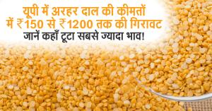 arhar dal mandi bhav: यूपी में अरहर दाल की कीमतों में ₹150 से ₹1200 तक की गिरावट – जानें कहाँ टूटा सबसे ज्यादा भाव!