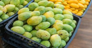 Mango rate today: हरियाणा में आम के दामों ने पकड़ी रफ्तार, हांसी में ₹8000 और नारवाना में ₹7000 तक पहुंचे भाव