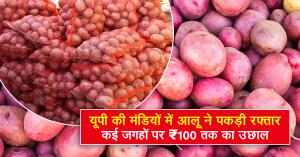 UP Potato Price Hike: Potatoes Gain Momentum in Uttar Pradesh Mandis – Prices Rise by Up to ₹100