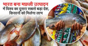 India Becomes World’s Second-Largest Fish Producer, Boosting Farmers’ Income Opportunities