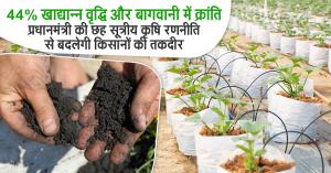 44% Growth in Foodgrain Output and a Horticulture Revolution: PM’s Six-Point Agriculture Strategy to Transform Farmers’ Future