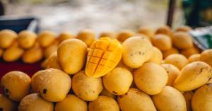 Uttar Pradesh Mango Price Today: Sharp Surge in Dussehri Prices, Rates Jump by Up to ₹500 per Quintal