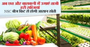 Gardening Tips: अब छत और बालकनी में उगाएं ताजी हरी सब्जियां, NSC बीज किट से होगी आसान खेती