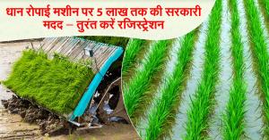Government assistance up to 5 lakhs on paddy transplanting machine – Register immediately