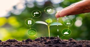 Profitable Farming, Self-Reliant Farmers: A New Government Mission for Agricultural Transformation