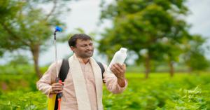 Use Herbicides, Insecticides, and Fungicides Wisely – Agricultural Expert Advises Farmers