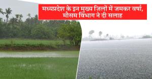 MP Weather: गरज-बरस सावन आयो रे, यहां रही वर्षा की मेहरबानी