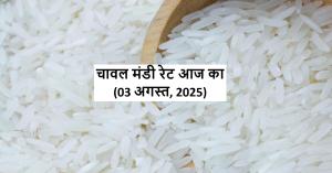 Chawal ka rate: 3 अगस्त 2025 – आज का बड़ा अपडेट: यूपी की मंडियों में चावल ₹3500 तक बिका, महाराष्ट्र में घटे भाव, किसान भाइयों ज़रूर पढ़ें!