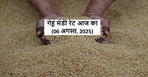 Wheat Prices Cross MSP, Kota Mandi Hits ₹2687/Quintal on August 6 – Should You Sell Now or Wait?