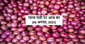 Onion Price Today in India: राजस्थान में प्याज ₹3000/क्विंटल – बाकी मंडियों में सिर्फ ₹500, जानिए कहां बेचें, कहां रुकें?