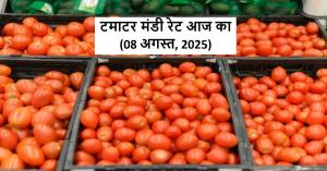 Tomato Prices Break All Records, Rates Cross ₹5000 in Mandis of Madhya Pradesh and Maharashtra