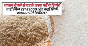 Rice mandi bhav: चावल बेचने से पहले ज़रूर पढ़ें ये रिपोर्ट: कहाँ मिल रहा ₹9000 और कहाँ सिर्फ ₹2500 प्रति क्विंटल?