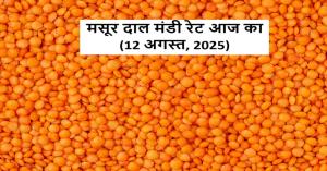 Masoor dal rate today: मसूर दाल मंडी अपडेट – आज कहां मिल रहे हैं सबसे ऊँचे भाव, जानिए पूरी रिपोर्ट