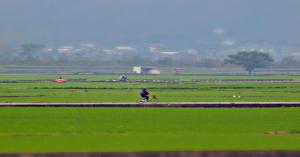 UP New: कृषि क्षेत्र में आएगा बड़ा बदलाव, यूपी बना रहा है आत्मनिर्भरता का मॉडल