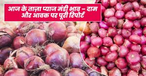 August 17, 2025: Fresh Onion Market Prices – Full Report on Rates & Arrivals
