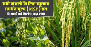 सभी फसलों के लिए न्यूनतम समर्थन मूल्य (MSP) तय, किसानों को मिलेगा बड़ा लाभ