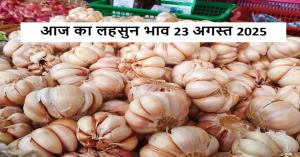 Garlic rate today: आज का लहसुन मंडी भाव (23 अगस्त 2025): गुजरात में ₹10,000 क्विंटल तक पहुँचे दाम, यूपी-पंजाब में गिरे रेट — जानें पूरी रिपोर्ट