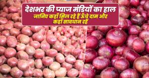 Onion rate today: देशभर की प्याज मंडियों का हाल – जानिए कहाँ मिल रहे हैं ऊँचे दाम और कहाँ सावधान रहें