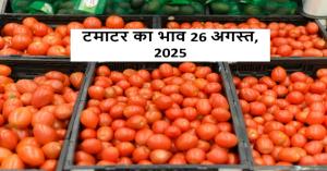 Tomato Market Prices Witness Sharp Fluctuations – Check State-Wise Rates (26 August 2025)